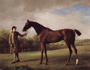 George Stubbs Lustre hero by a Groom oil painting picture wholesale